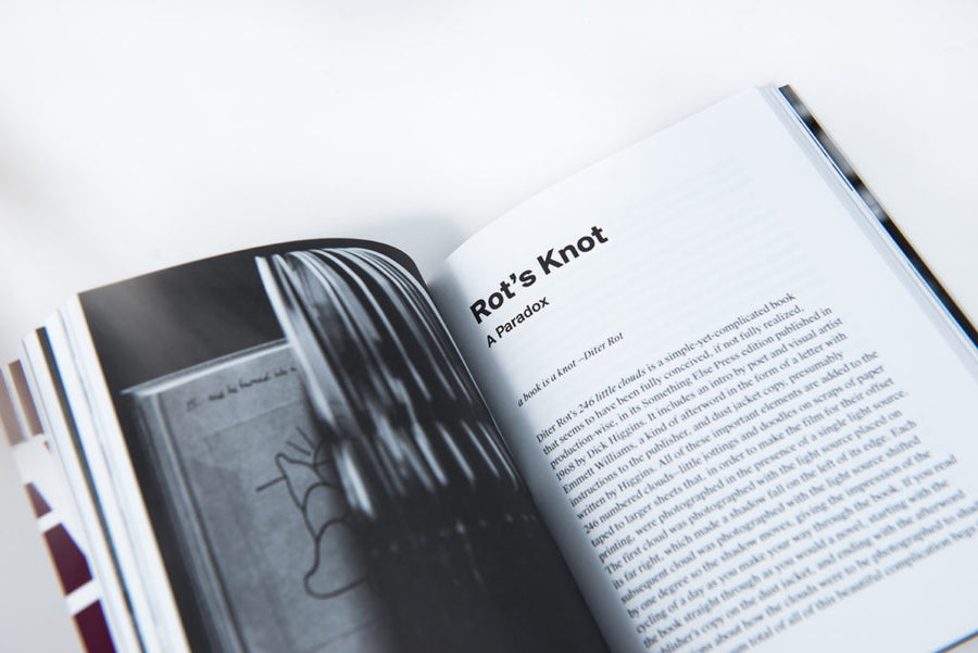 Tate Shaw : Blurred Library : Essays on Artists' Books