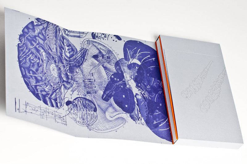 Kyle Schlesinger : Commonplace