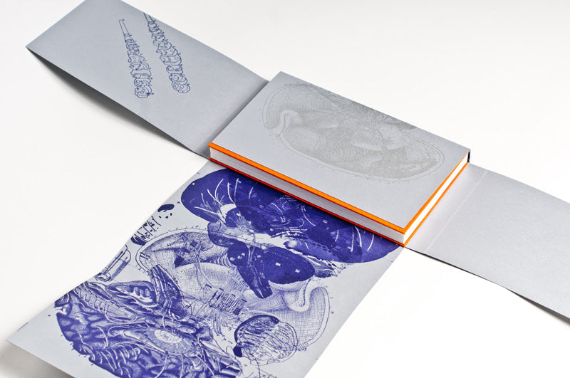 Kyle Schlesinger : Commonplace