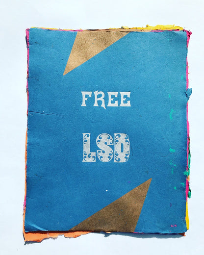 Kyle Schlesinger & Drew Matott : FREE LSD
