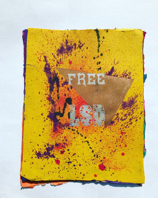 Kyle Schlesinger & Drew Matott : FREE LSD